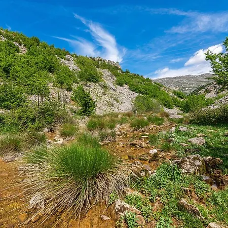 Amazing In Muskovci
